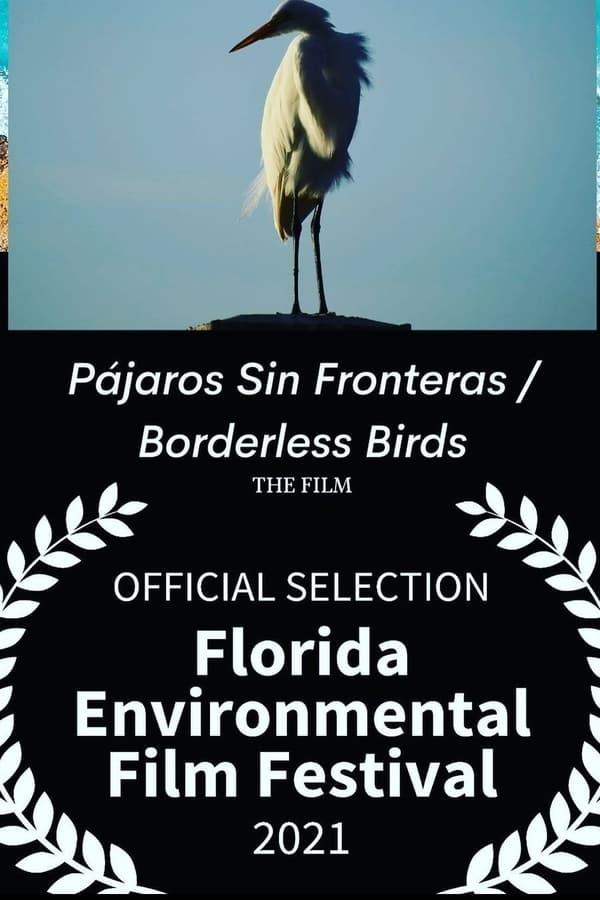 Borderless Birds