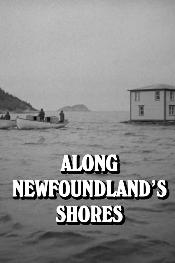Along Newfoundland's Shores