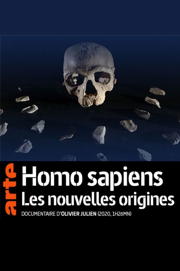 Homo sapiens, les nouvelles origines
