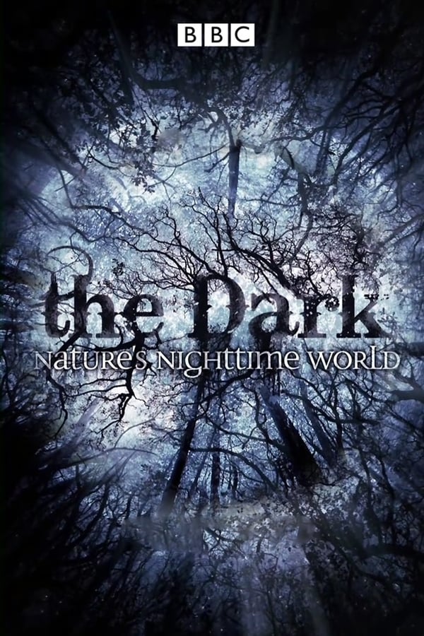 The Dark: Nature's Nighttime World