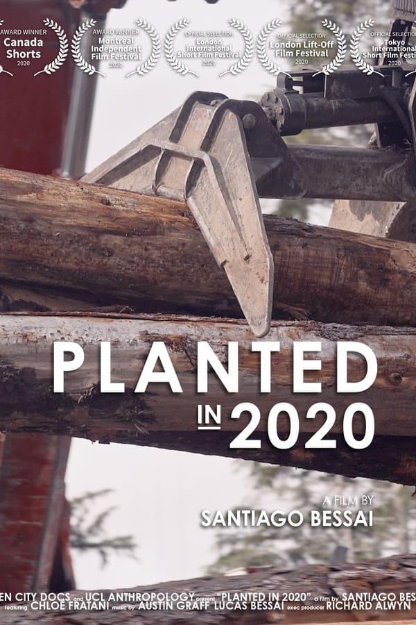 Planted in 2020