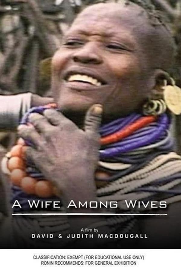 A Wife Among Wives