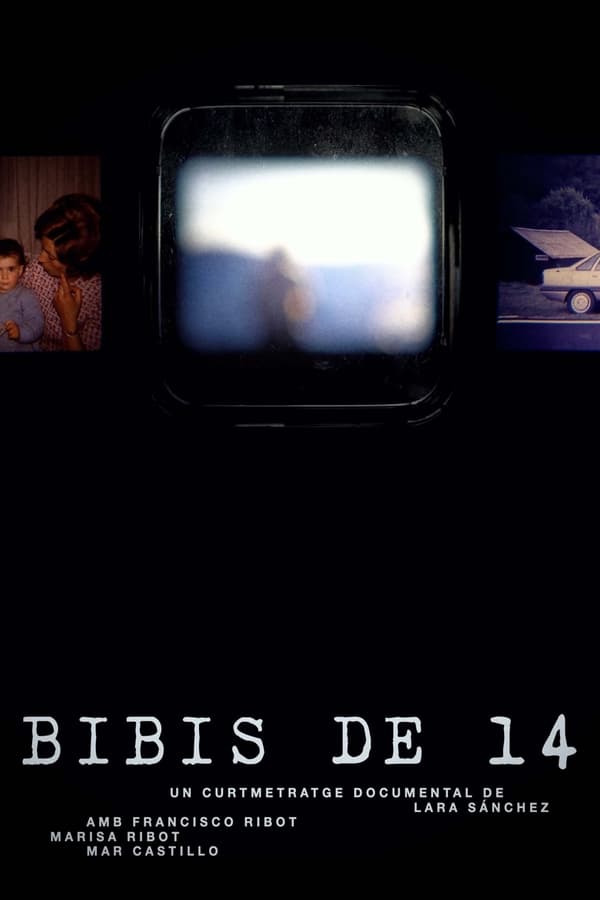 Bibis of 14