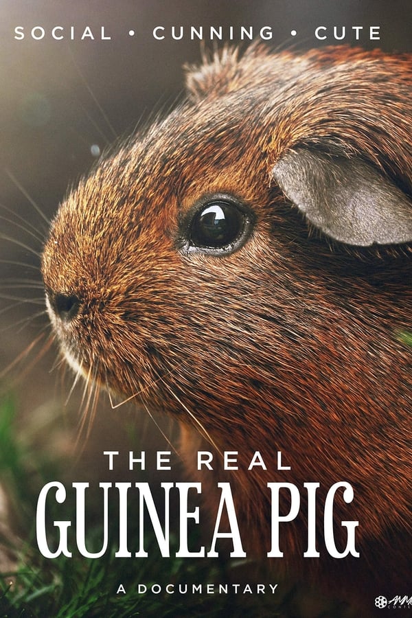 The Real Guinea Pig