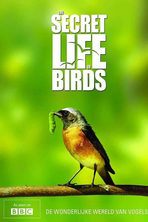 Iolo's Secret Life of Birds