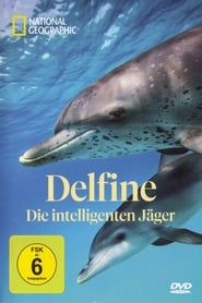 National Geographic: Delfine - Die intelligenten Jäger