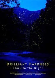 Brilliant Darkness: Hotaru in the Night