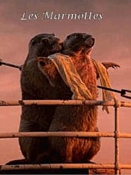 Les Marmottes