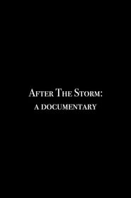 After the Storm: A Documentary
