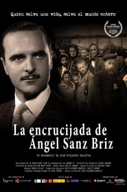 La encrucijada de Ángel Sanz Briz