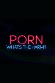 Porn: Whats the Harm