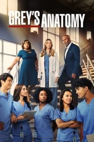Grey's Anatomy s02e23