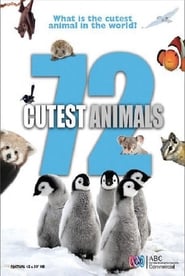 72大可爱动物
