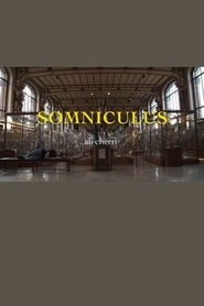 Somniculus