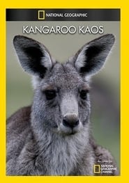 National Geographic: Kangaroo Kaos