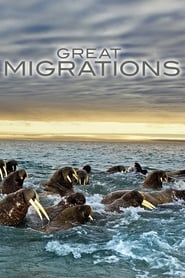 GREAT_MIGRATIONS-Disc1