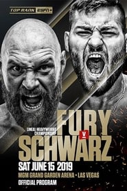 Fury vs. Schwarz