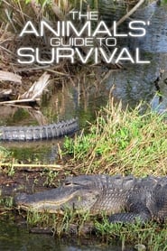 The Animals' Guide to Survival