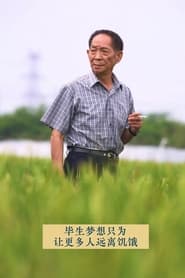 杂交水稻之父袁隆平