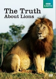 Truth About Lions, The