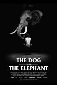 The Dog and the Elephant