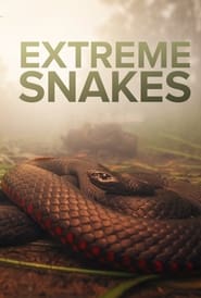 Extreme Snakes