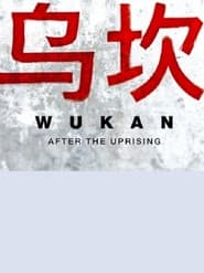 Wukan: After the Uprising