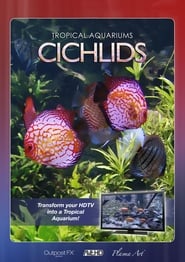 Plasma Art - Tropical Aquariums - Cichlids