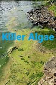 Killer Algae