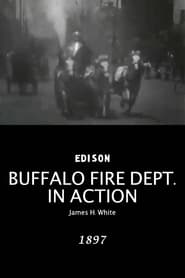 Buffalo Fire Department in action